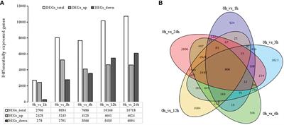 UV-B induces the expression of flavonoid biosynthetic pathways in blueberry (Vaccinium corymbosum) calli